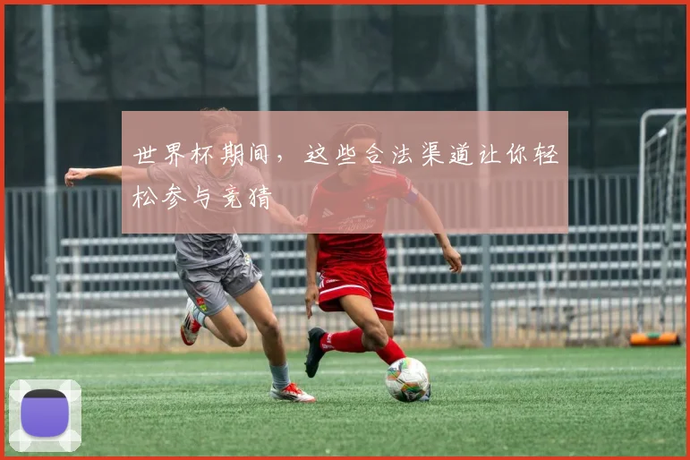 世界杯期间，这些合法渠道让你轻松参与竞猜