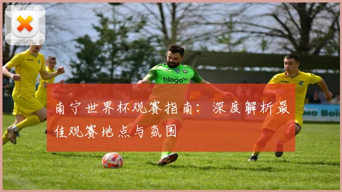 南宁世界杯观赛指南:深度解析最佳观赛地点与氛围