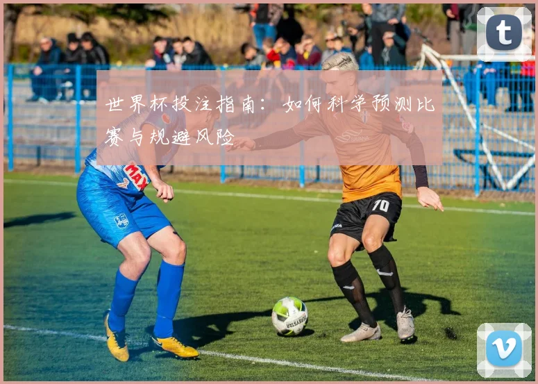 世界杯投注指南:如何科学预测比赛与规避风险