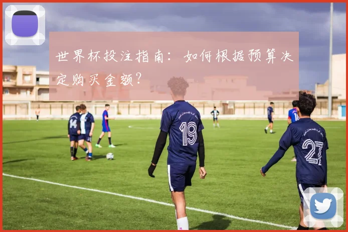 世界杯投注指南：如何根据预算决定购买金额？