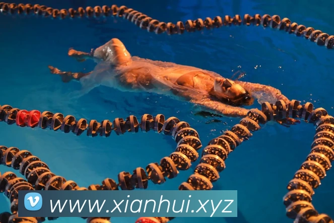 意昂体育官网登录平台生态图